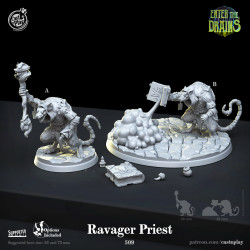 Ravager Priest No.509