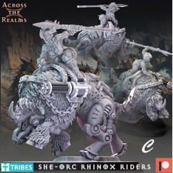 SHE-ORC Rhinox Riders