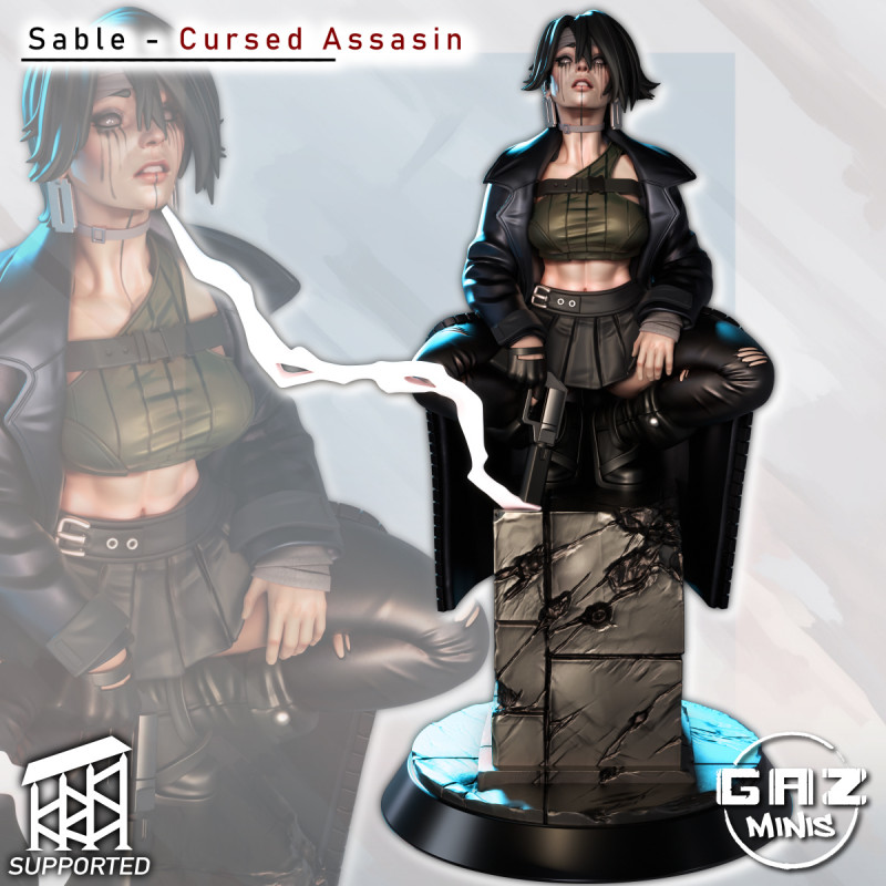 Sable Cursed Assasin