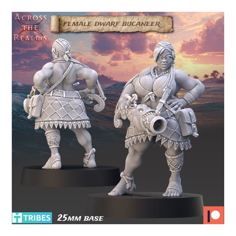 Female Dwarf Bucaneer