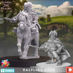 Halfling Hero
