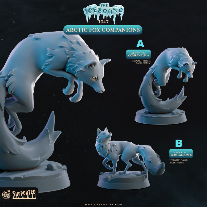 Arctic Fox Companions