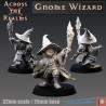 Gnome Wizard
