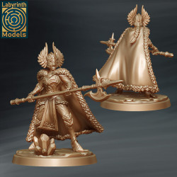 Valkyrie Guards