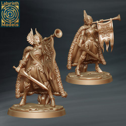 Valkyrie Guards Command Group