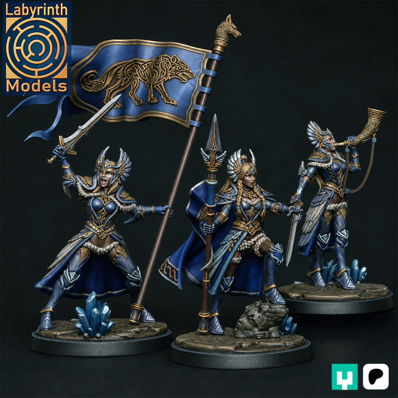 Valkyrie Warrior Command Group